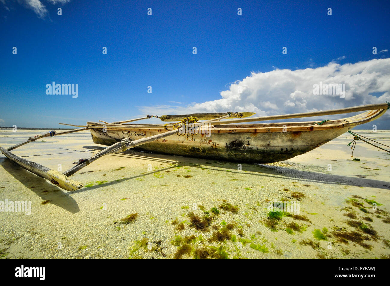 Zanzibar beach and coral rocks bule green ozean Tanzania Stock Photo