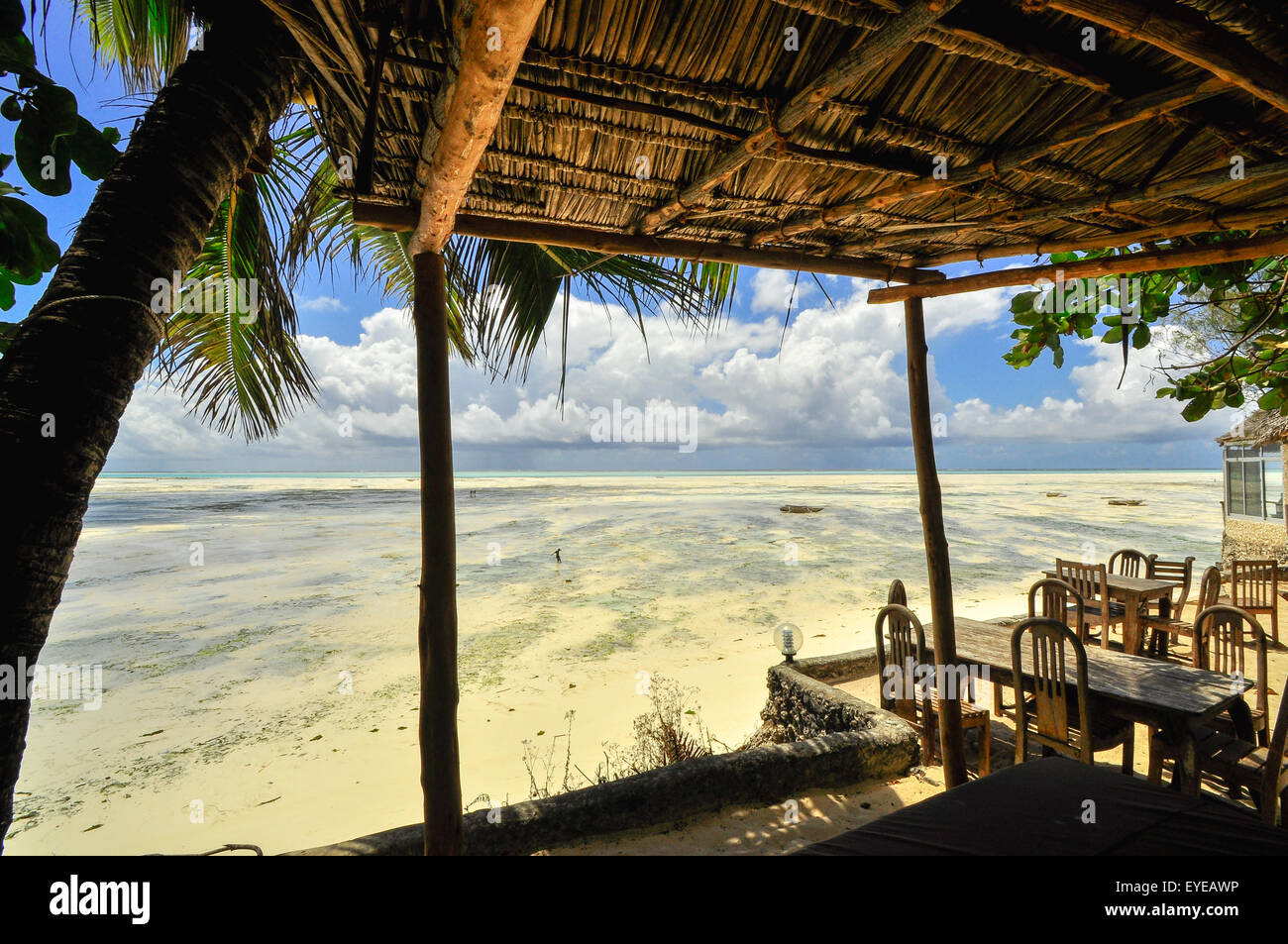 Zanzibar beach and coral rocks bule green ozean Tanzania Stock Photo