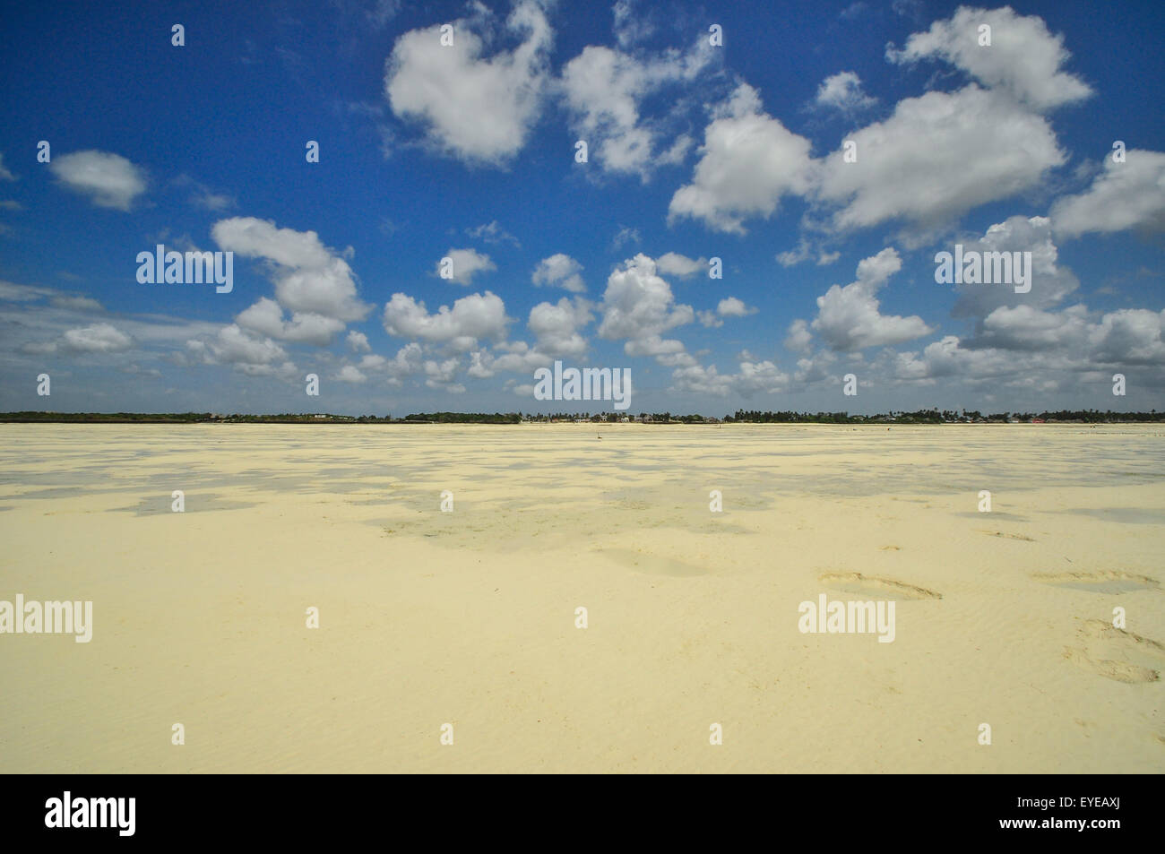 Zanzibar beach and coral rocks bule green ozean Tanzania Stock Photo