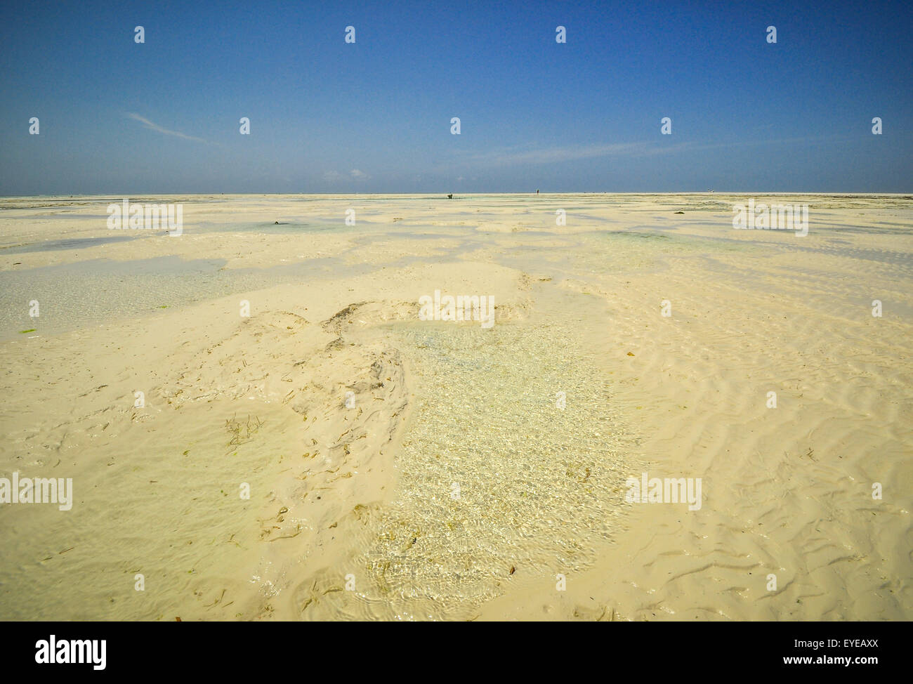 Zanzibar beach and coral rocks bule green ozean Tanzania Stock Photo