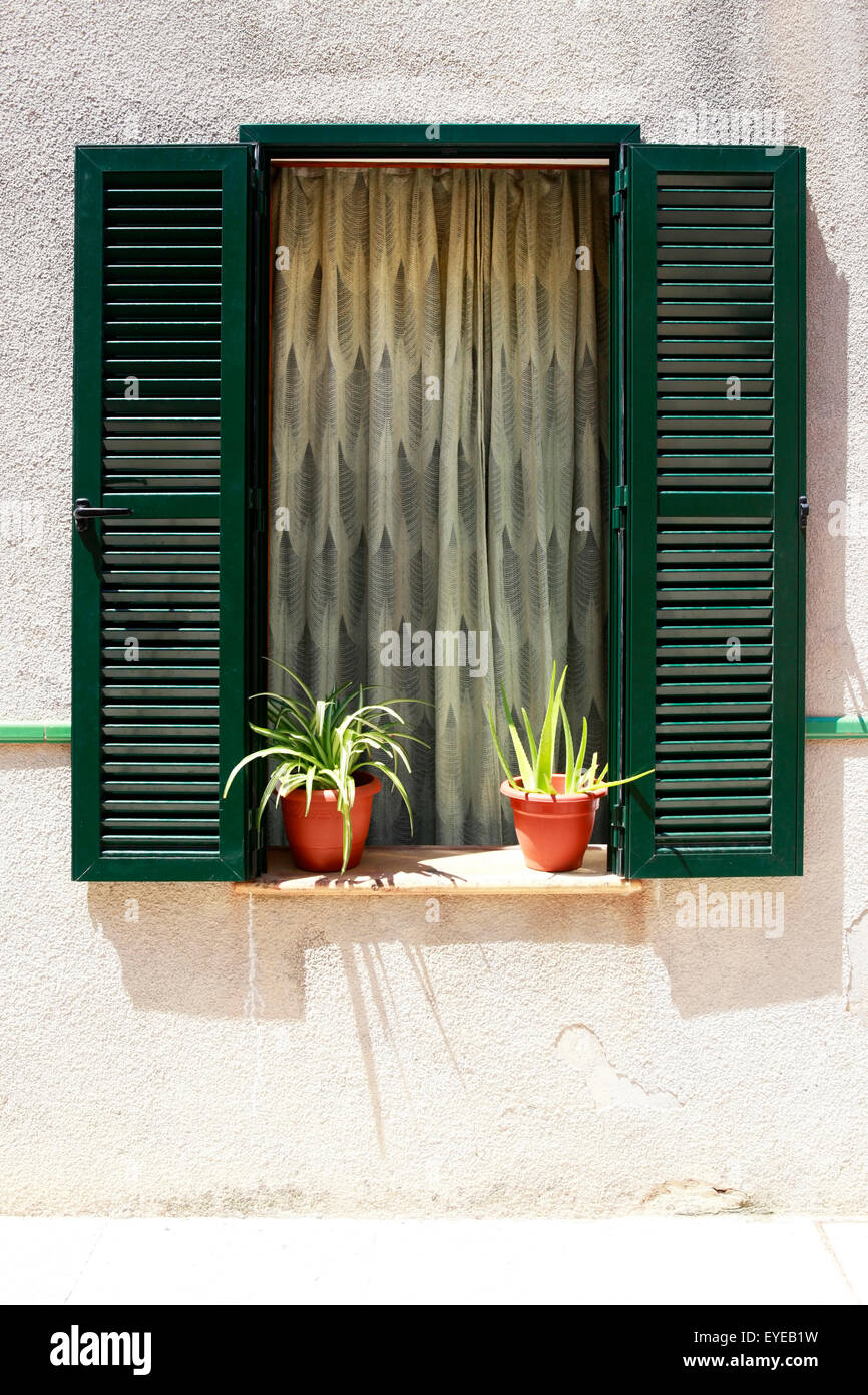 Wooden green window with flower. Old town Alcudia Stock Photo - Alamy