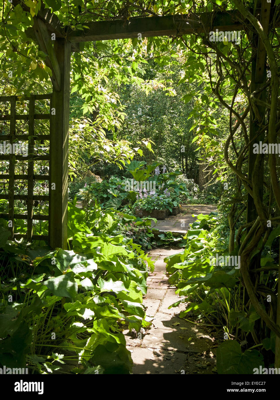 Hidden sunlit garden and path viewed through wooden pergola and trellis arch, Barnsdale Gardens, Rutland, England, UK. Stock Photo