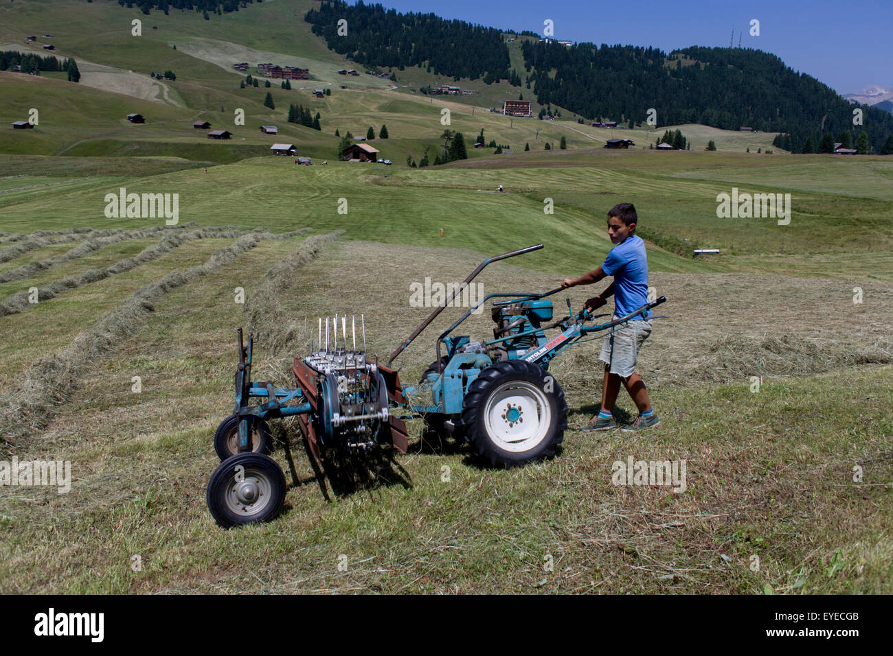 Young boy manhandles haymaking machine on the Siusi plateau, above the South Tyrolean town of Ortisei-Sankt Ulrich Stock Photo