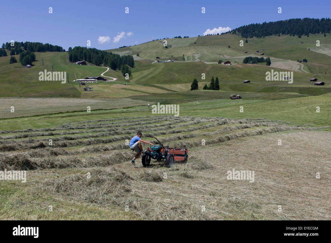 Young boy manhandles haymaking machine on the Siusi plateau, above the South Tyrolean town of Ortisei-Sankt Ulrich in the Dolomi Stock Photo