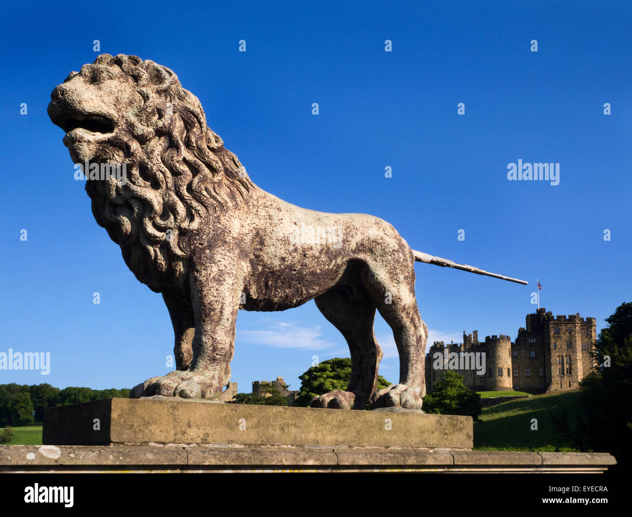 Lion Statue on The Lion Bridge and Alnwick Castle Alnwick Northumberland England Stock Photo