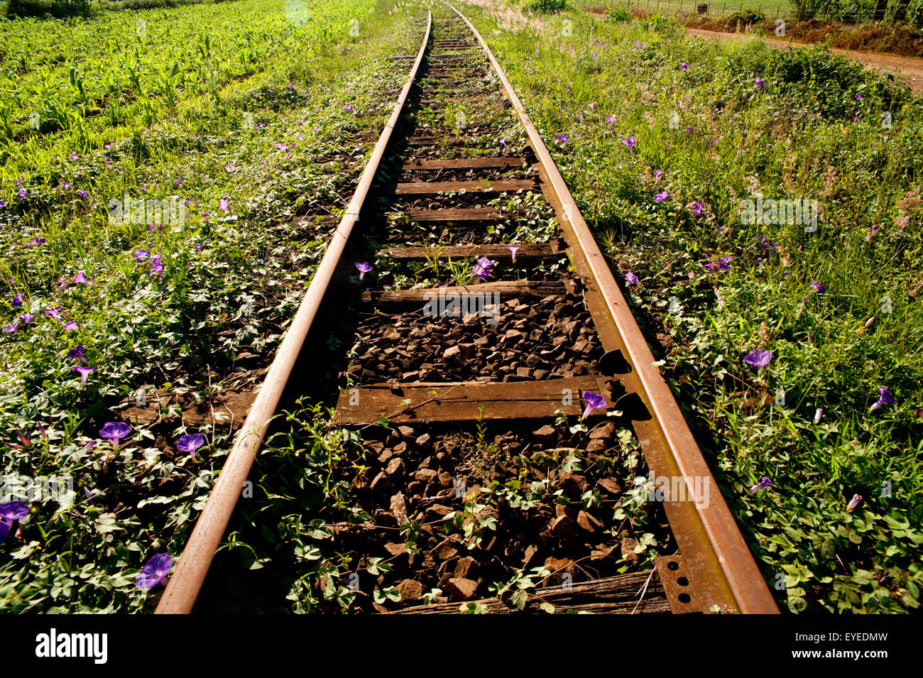 Old Rail Tracks In Santa Barbara Do Sul, Rio Grande Do Sul, Brazil Stock Photo