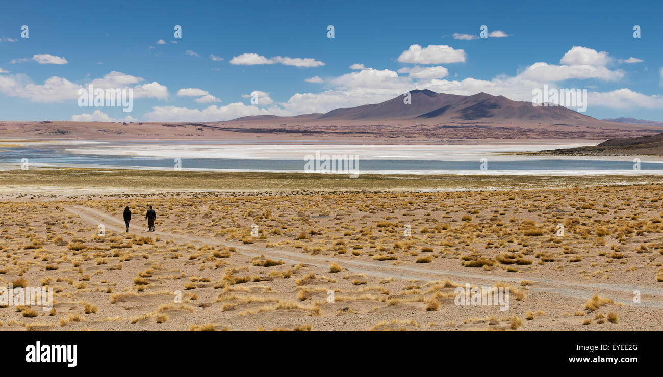 Tara Salt Flat; San Pedro de Atacama, Antofagasta Region, Chile Stock