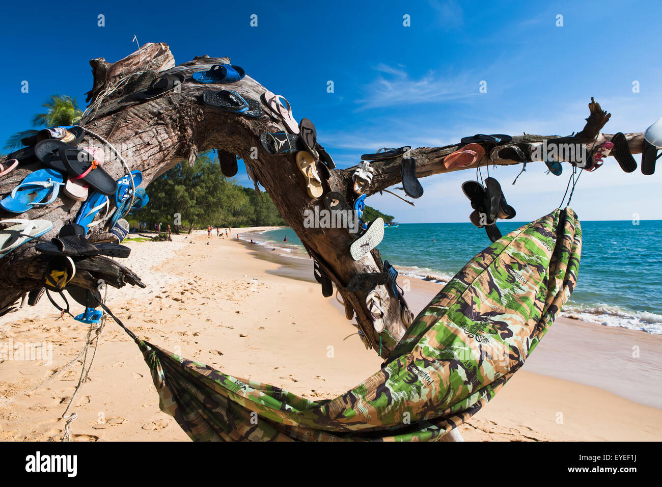 This tree is decorated with lost flip flops and a hammock on a beach on Bamboo Island; Sihanoukville, Cambodia Stock Photo