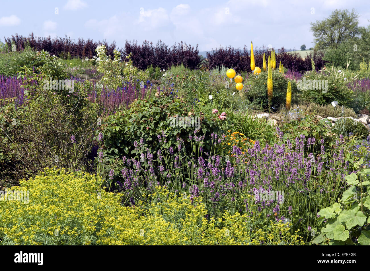 Duftgarten Syringa, Duftgarten, Schaugarten, Heilpflanzen, Stock Photo