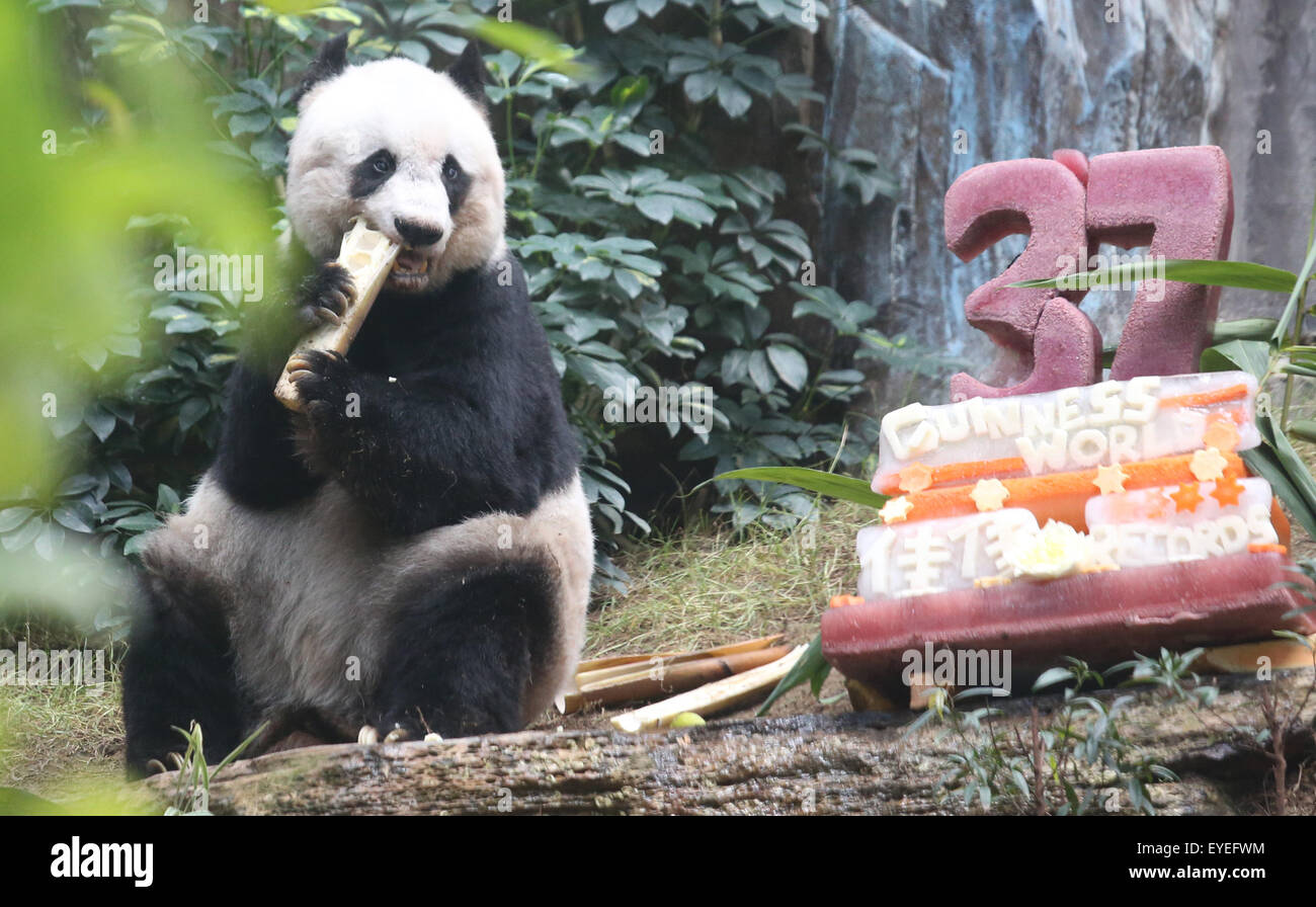 Johnson Panda Hongkong. 28th July, 2015. Jia Jia, a female panda turning 37, enjoys ...