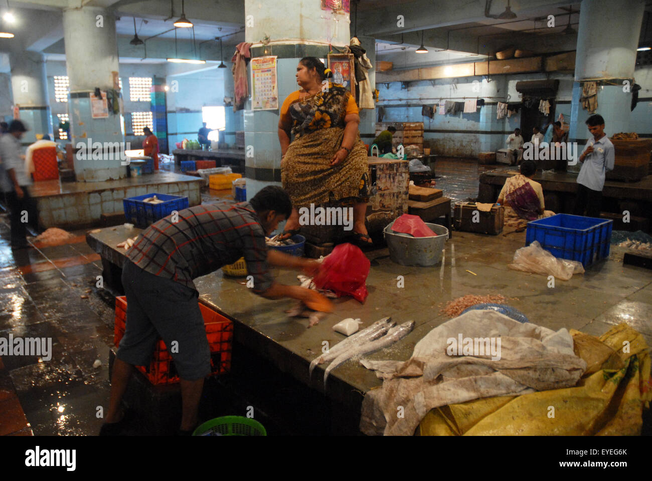 Fish market, Mumbai, Maharashtra, India Stock Photo Alamy