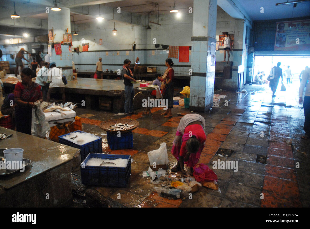 Fish market, Mumbai, Maharashtra, India Stock Photo Alamy