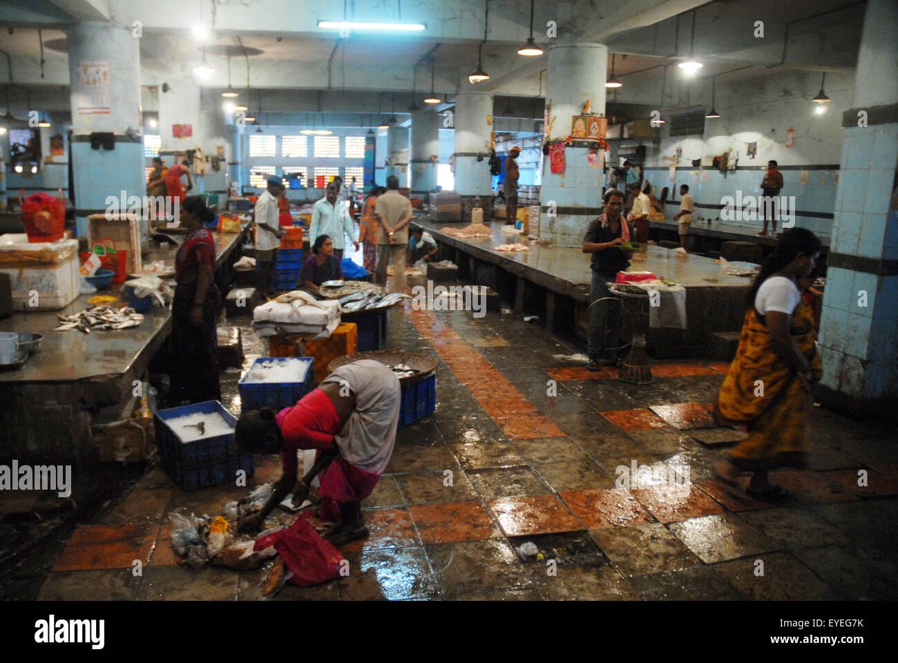 Fish market, Mumbai, Maharashtra, India Stock Photo Alamy