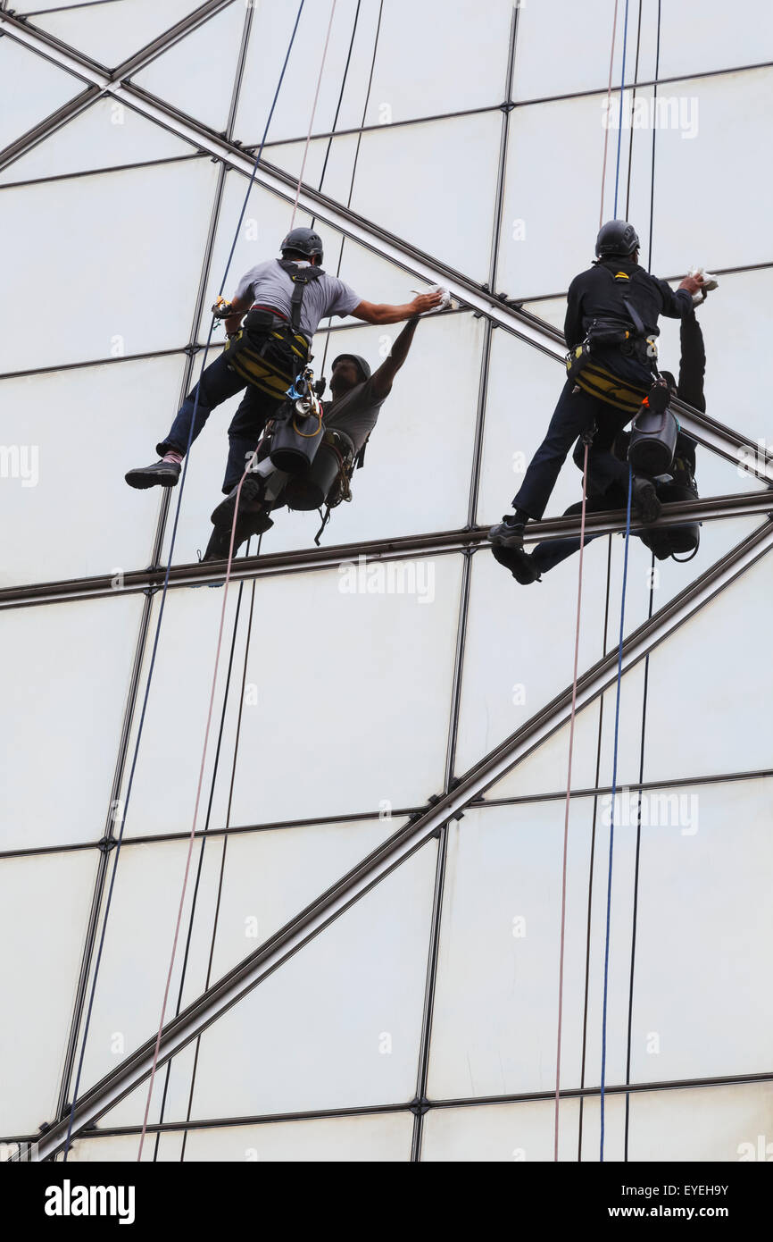 Two men in harnesses cleaning exterior of windows on modern building