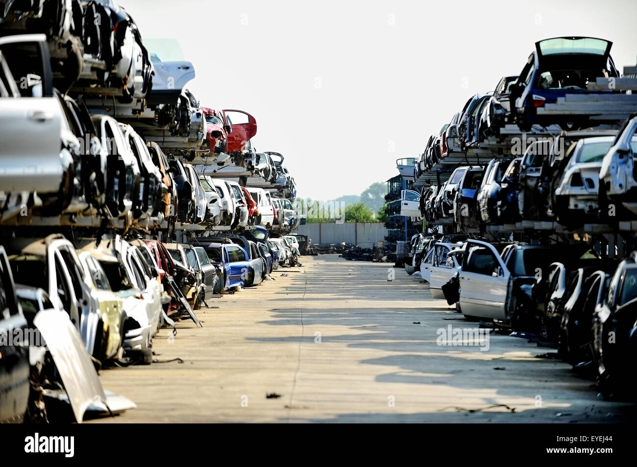 Wrecked vehicles are seen in a car junkyard Stock Photo