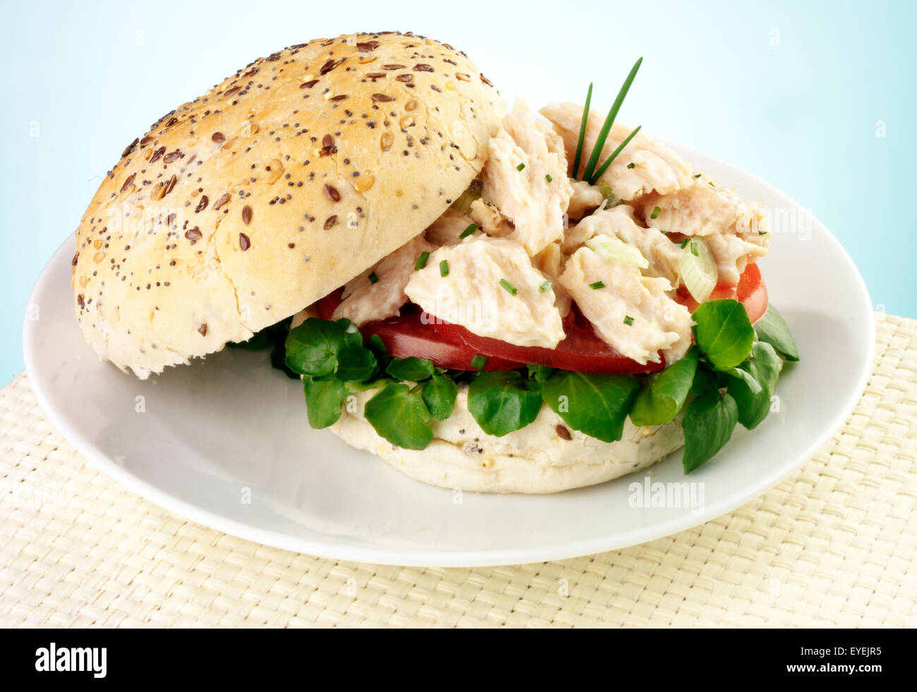 ALBACORE TUNA FISH SANDWICH Stock Photo Alamy
