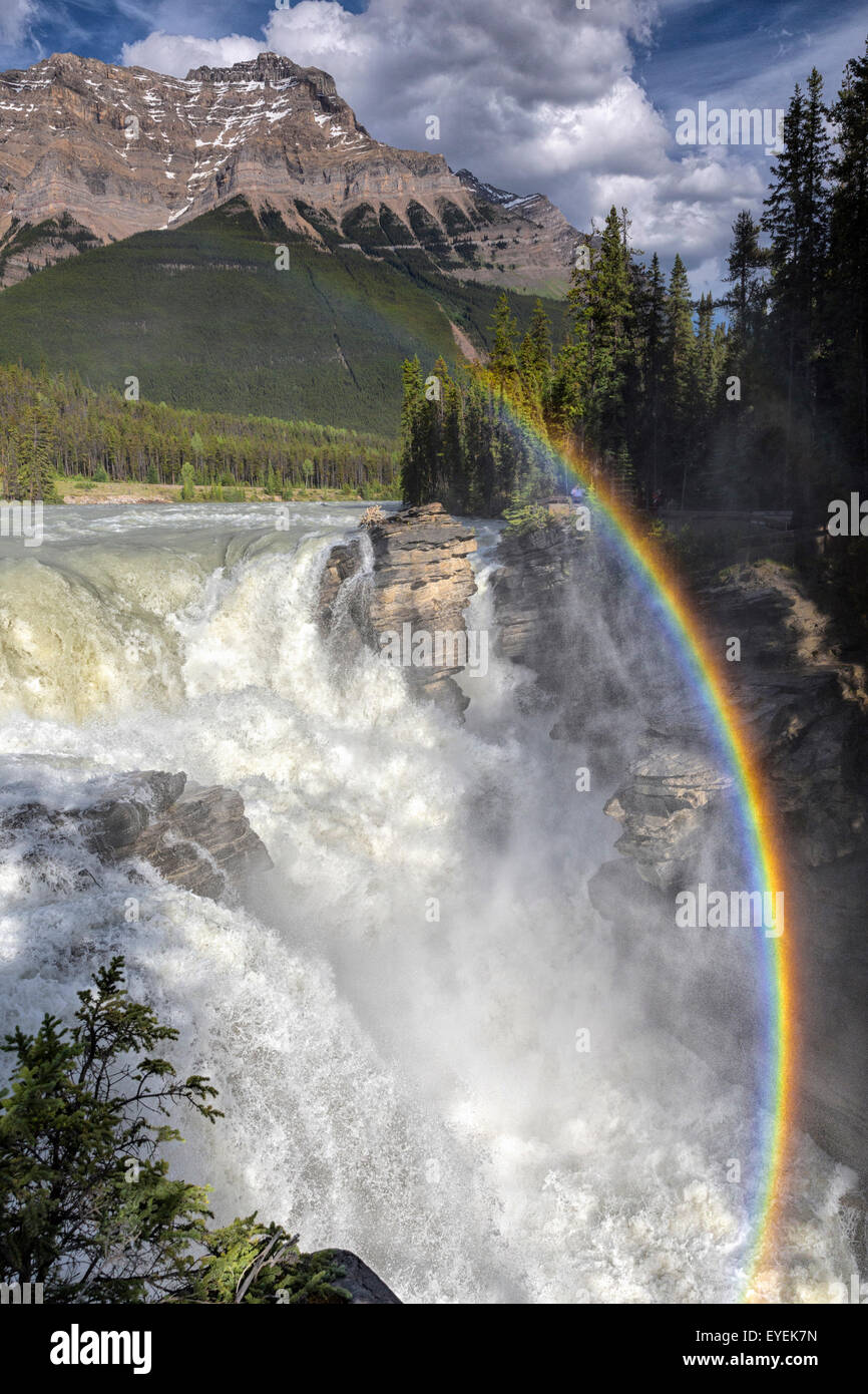 athabasca-falls-jasper-national-park-alberta-canada-stock-photo-alamy