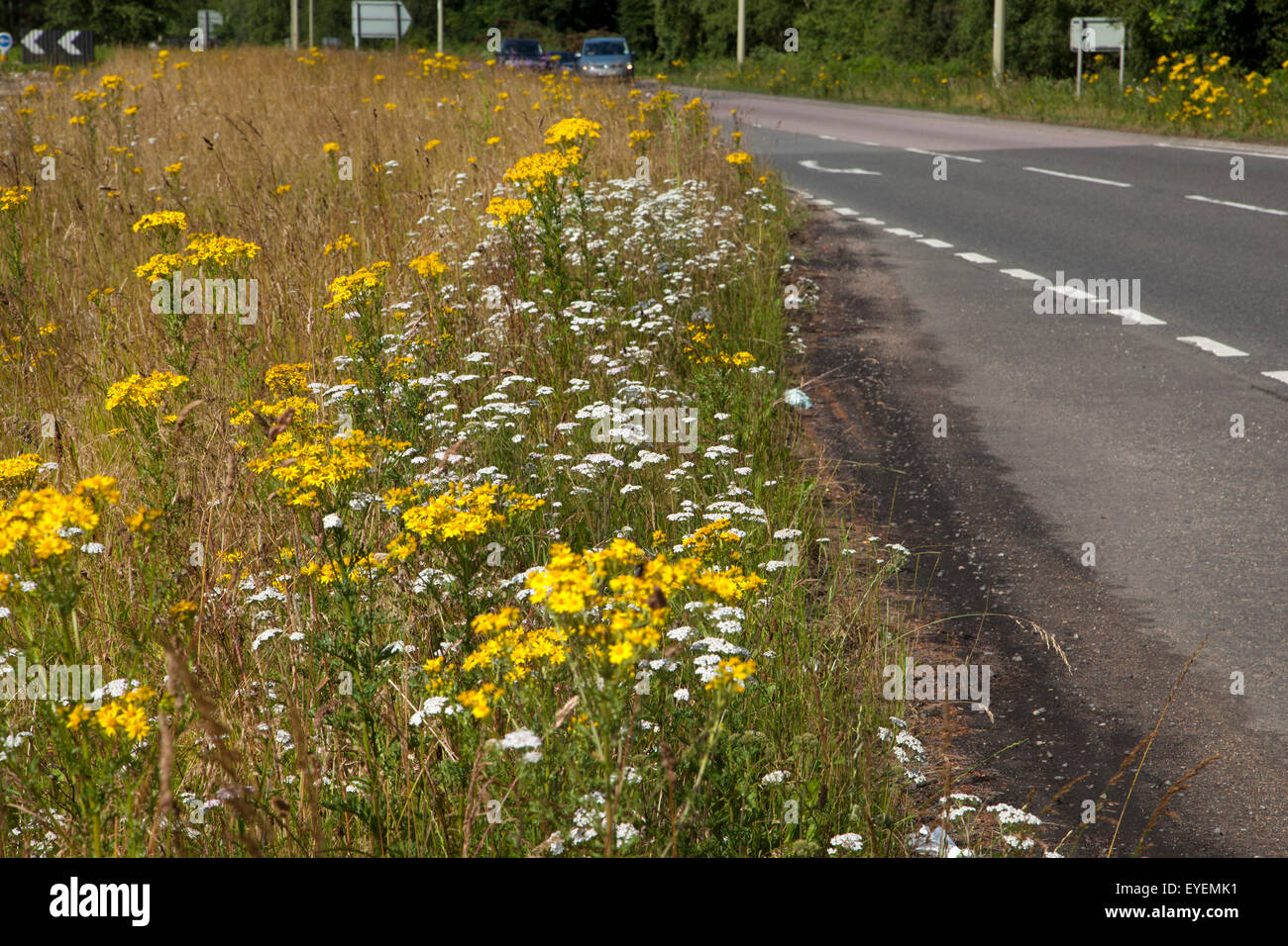 Road side flowers hires stock photography and images Alamy