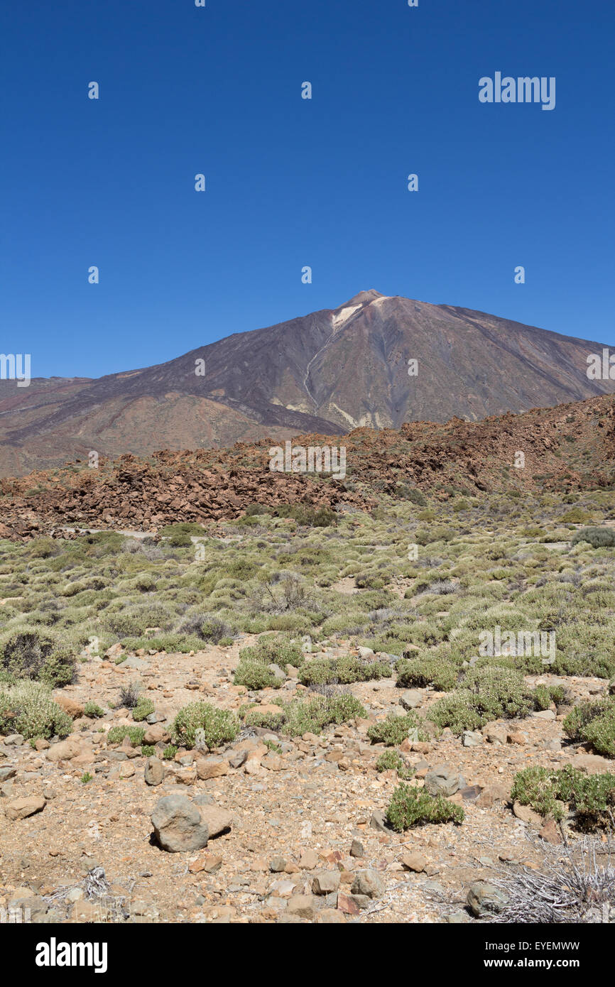 mountain landscape - pico del teide, tenerife Stock Photo