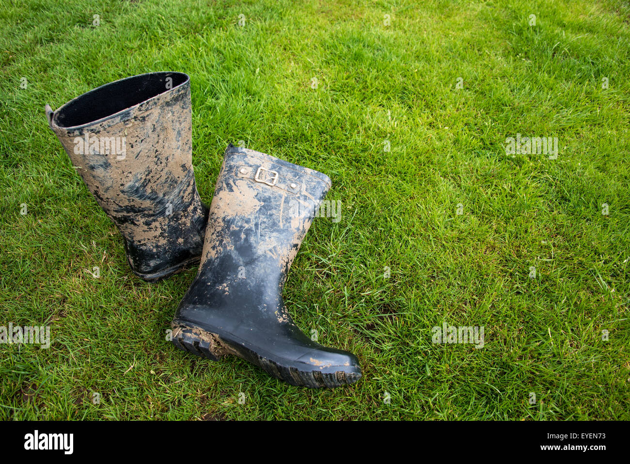 Dirty Wellington boots brought back from music festival Stock Photo