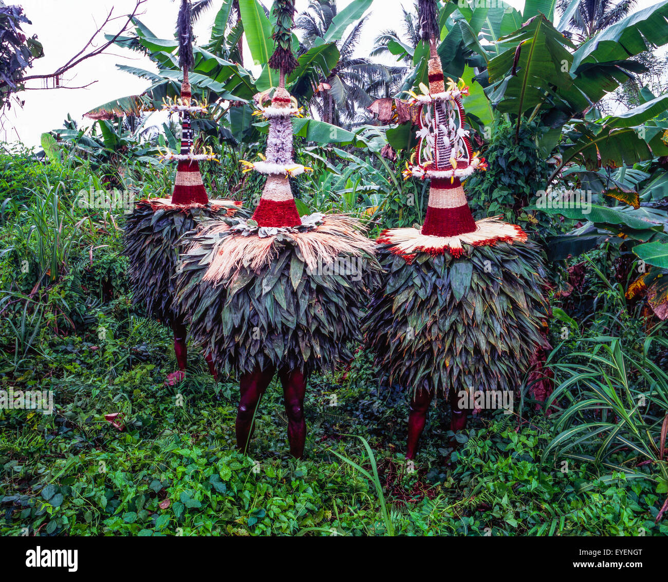 Traditional Duk Duks; East New Britain, Papua New Guinea Stock Photo