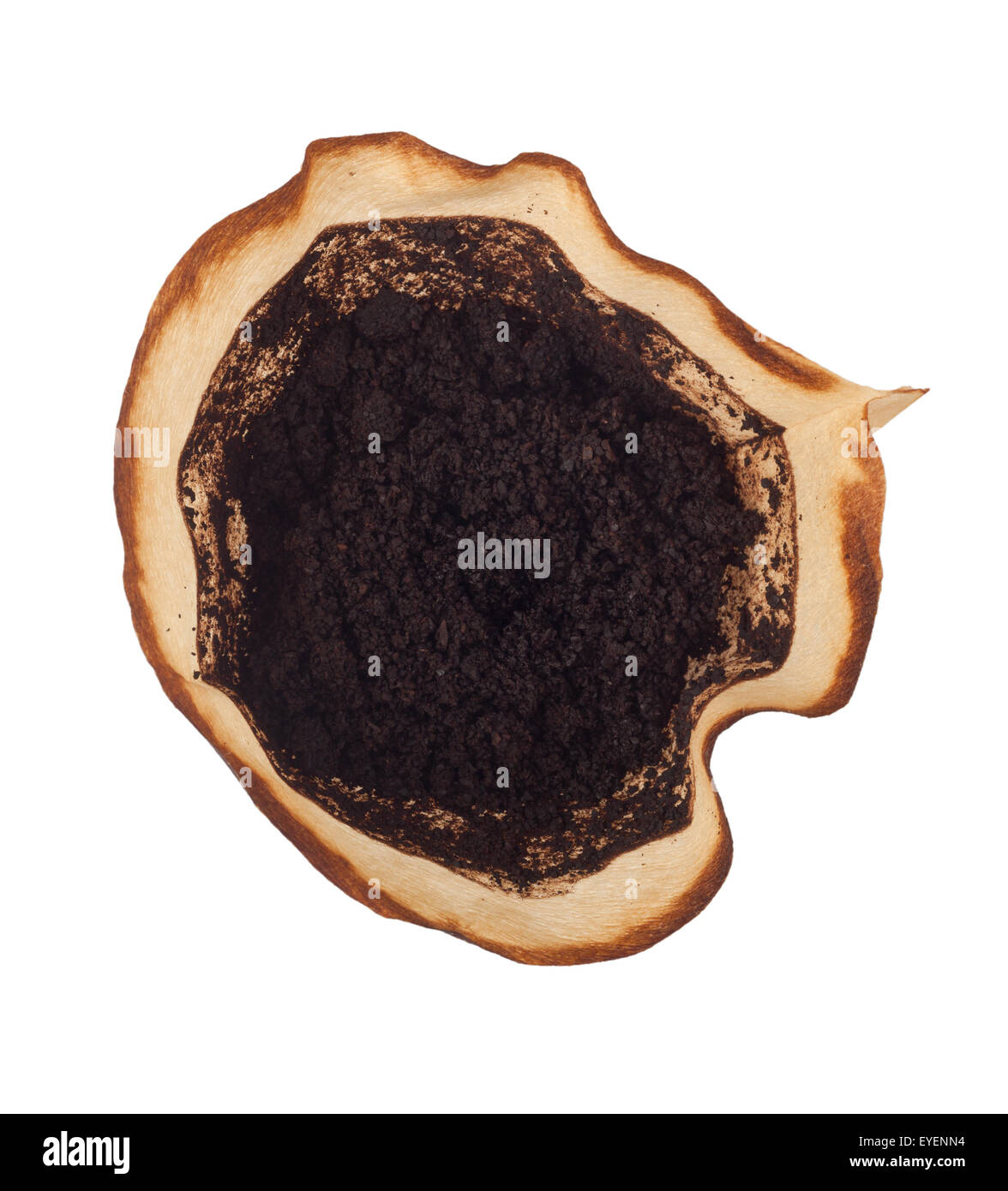 Used coffee grounds in a filter isolated on white background Stock