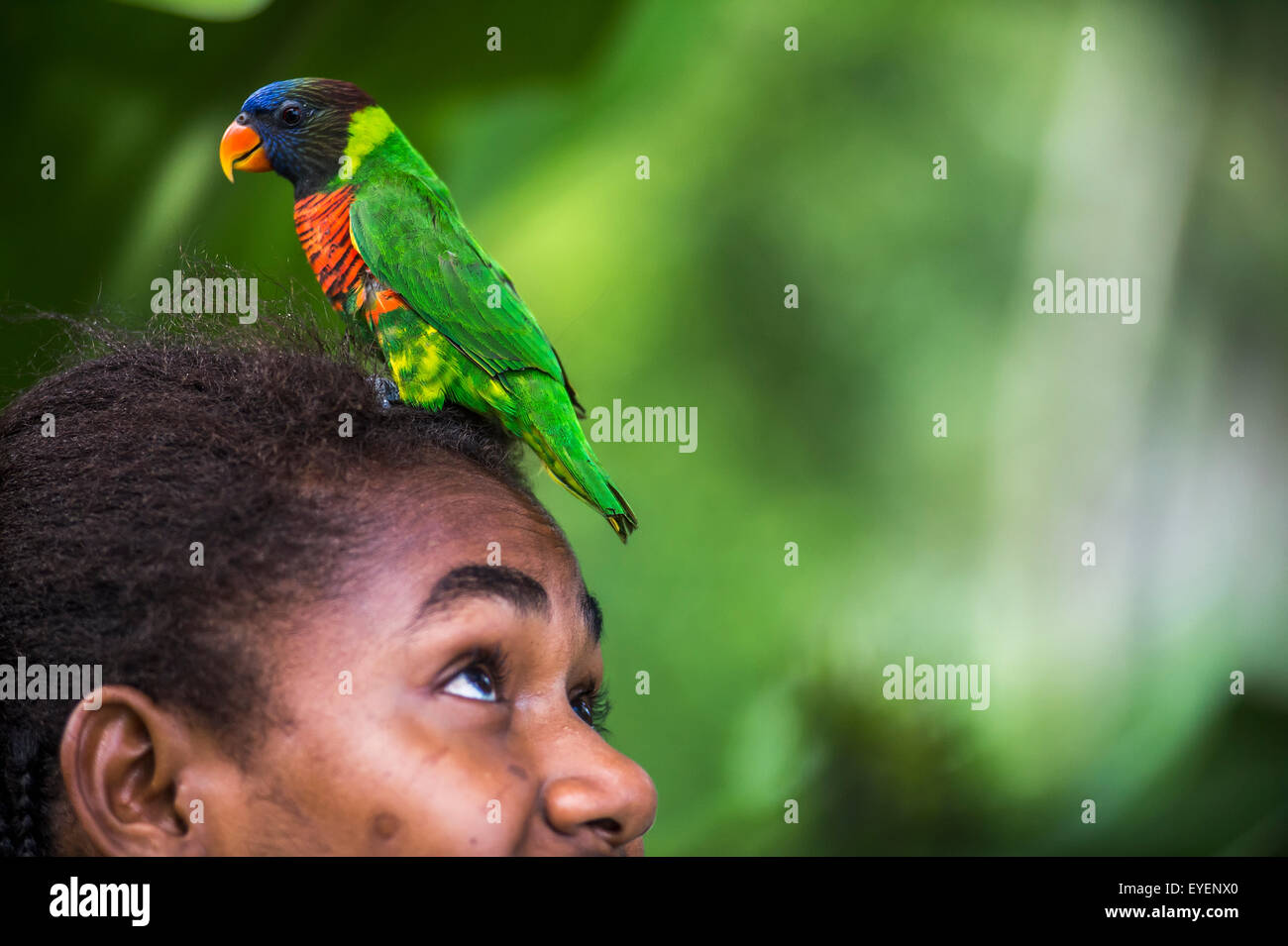 Young girl with a tropical bird resting on her head; Pentacost island, Vanuatu Stock Photo