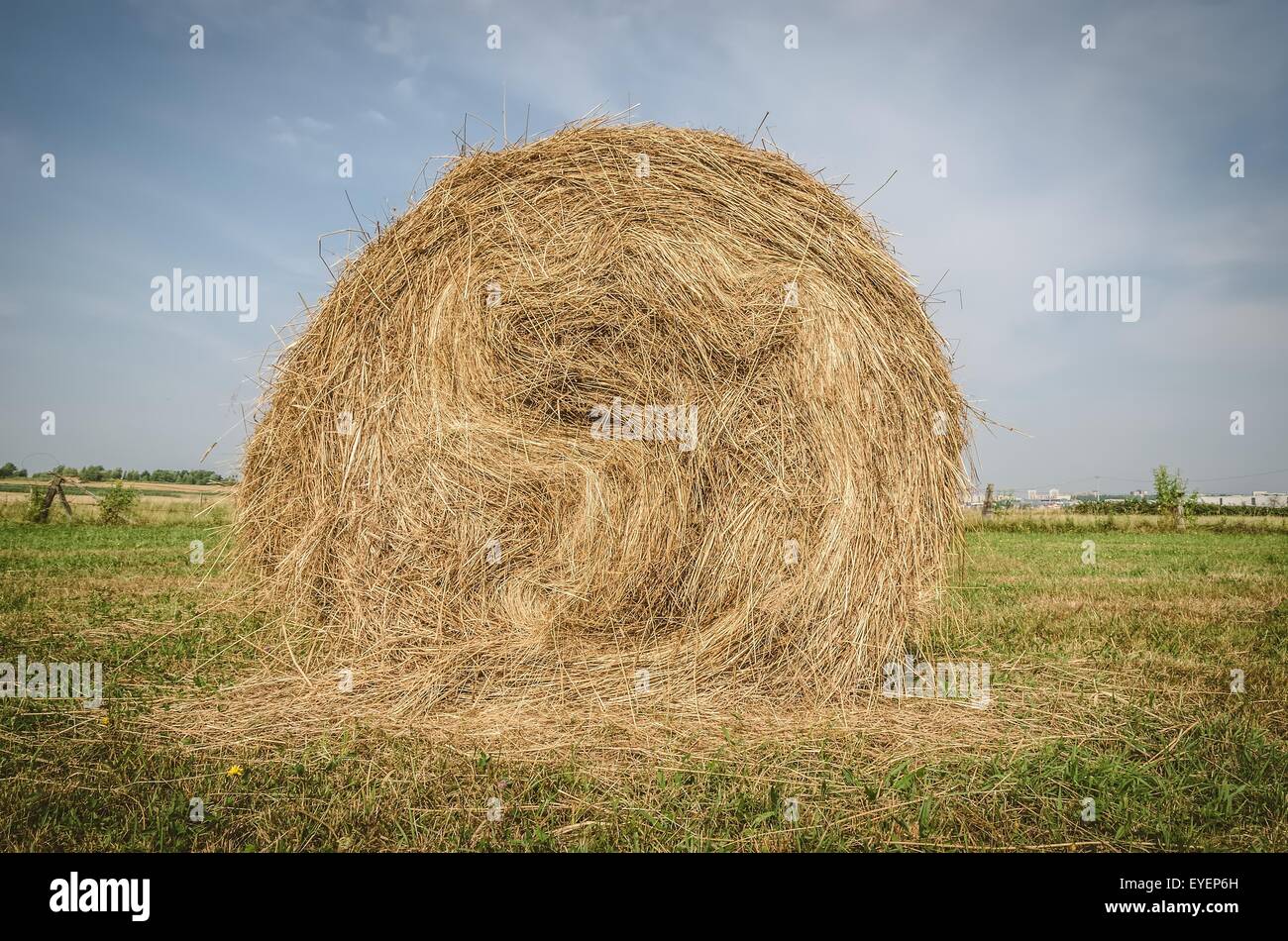 Bail straw hi-res stock photography and images - Alamy