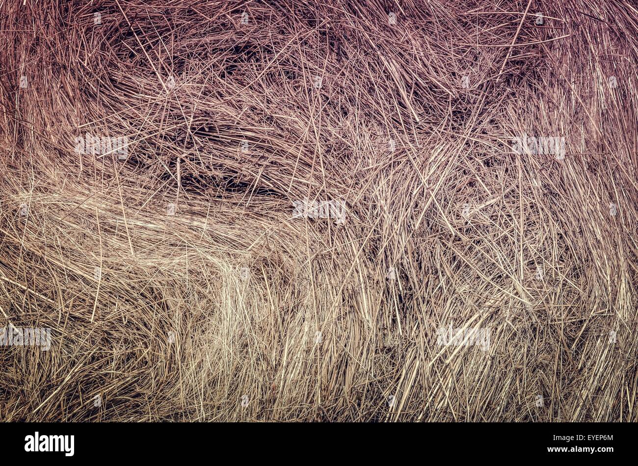 Straw texture hi-res stock photography and images - Alamy
