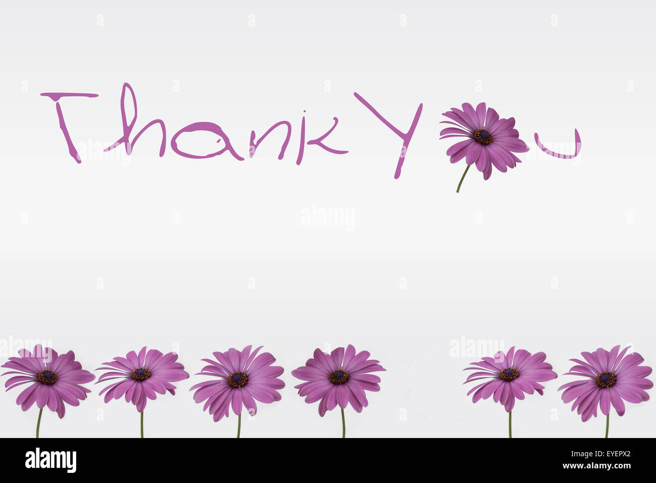 thank you card with flowers Stock Photo - Alamy