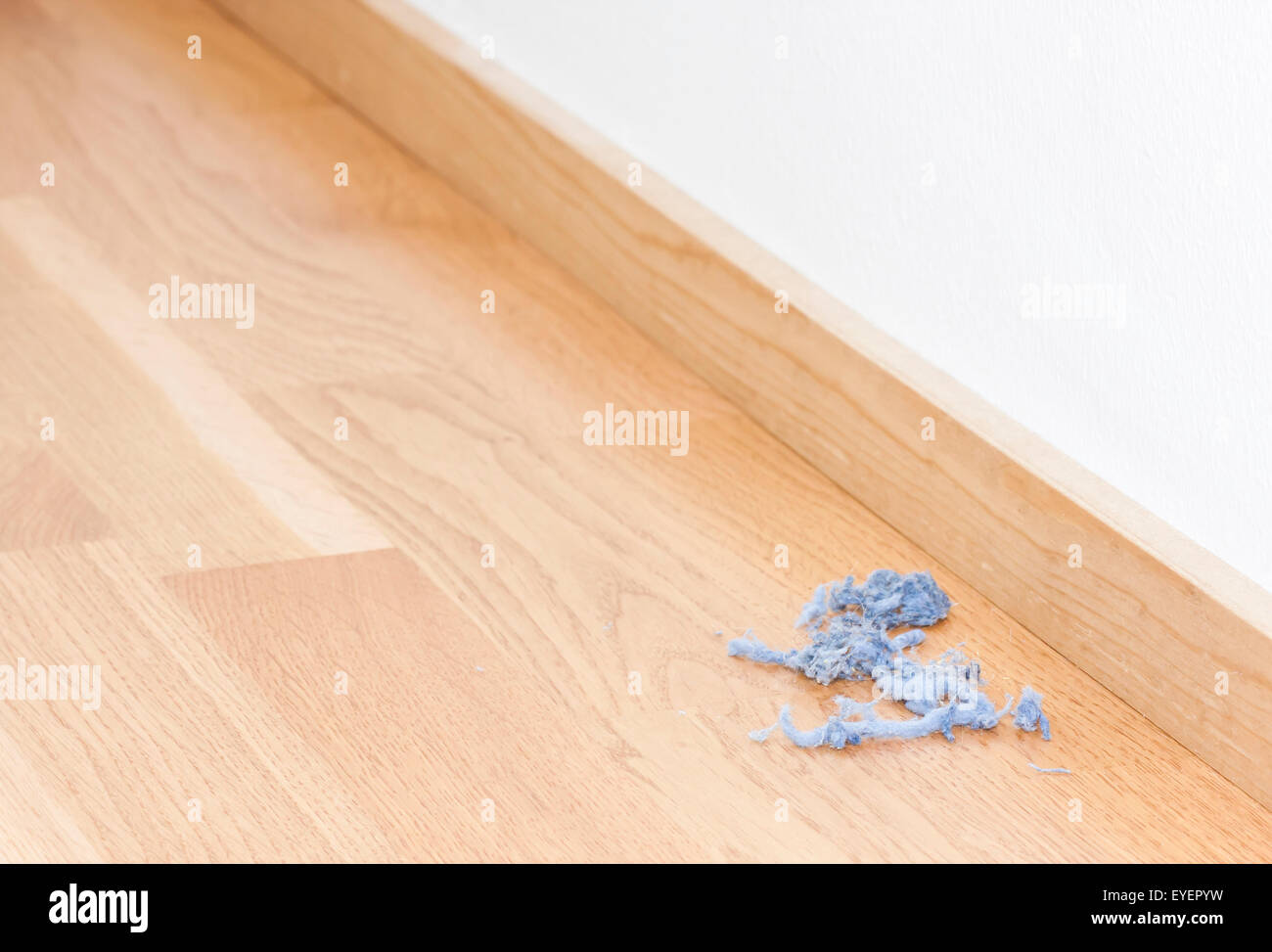 Bunch of blue dust rolls in a corner on the floor Stock Photo