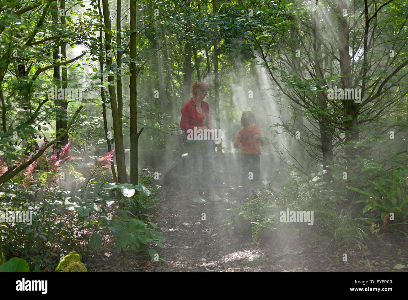 cloud forest, Island Park Wilhelmsburg, Hamburg, Germany Stock Photo ...