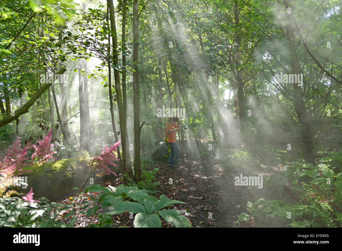 cloud forest, Island Park Wilhelmsburg, Hamburg, Germany Stock Photo ...
