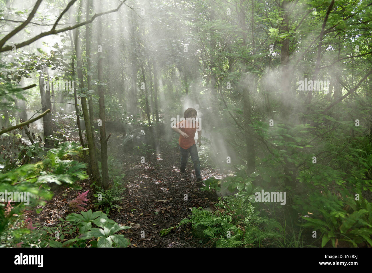 cloud forest, Island Park Wilhelmsburg, Hamburg, Germany Stock Photo ...