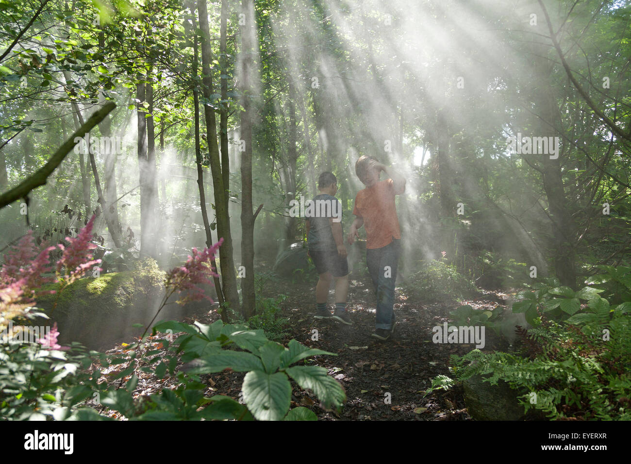cloud forest, Island Park Wilhelmsburg, Hamburg, Germany Stock Photo ...