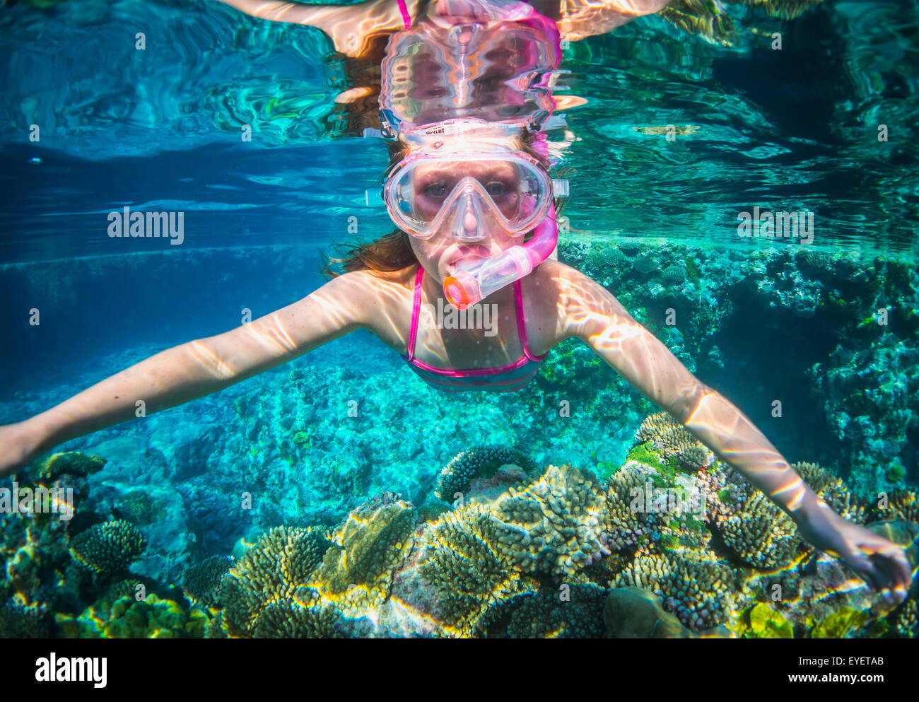 Coral reef niue island south hi-res stock photography and images - Alamy