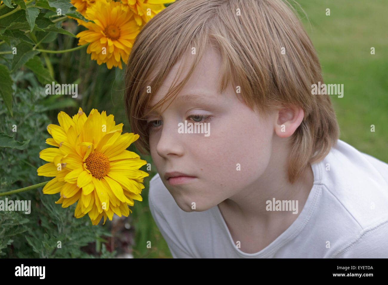 Child smelling food or flower hi-res stock photography and images - Alamy
