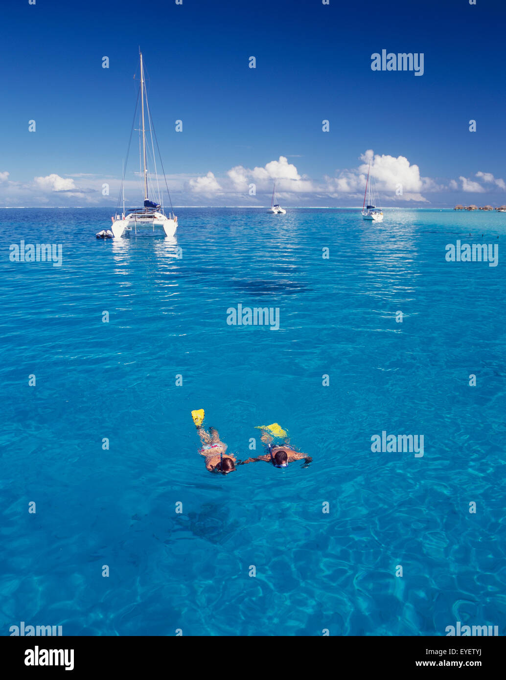 Harbor Island Snorkel High Resolution Stock Photography and Images - Alamy