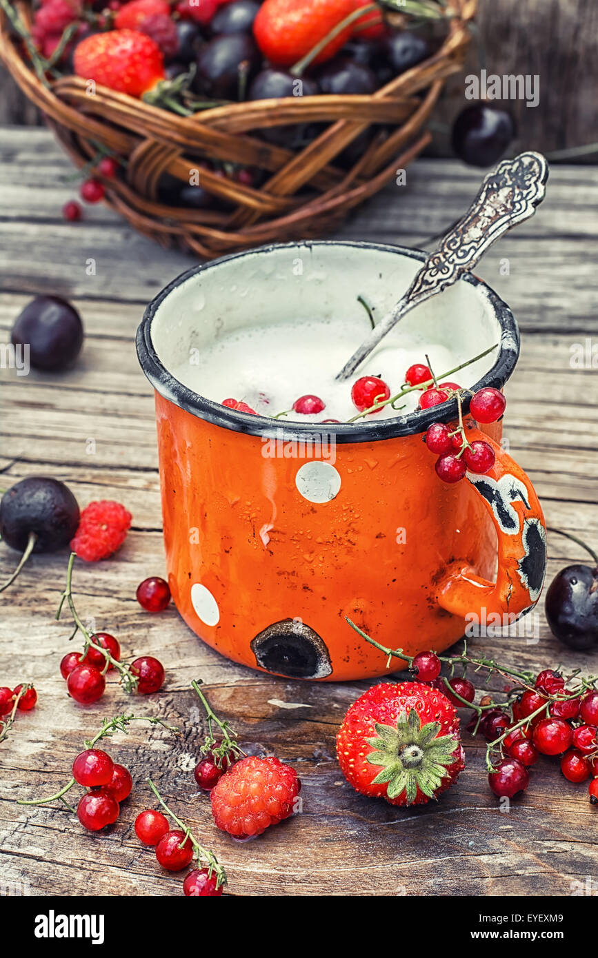 summer dessert of ice cream and fresh berries in an iron circle.Photo tinted. Stock Photo