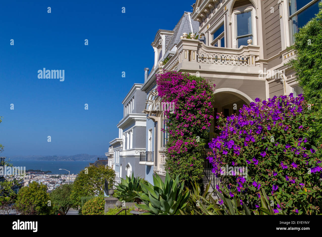A view of San Francisco bay along  Divisadero St in the affluent Pacific Heights area of San Francisco ,California ,USA Stock Photo