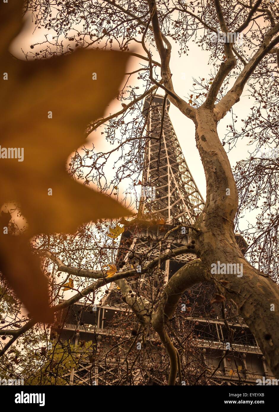 Fall Color at the foot of the Eiffel Tower in Paris 24/11/2012 - Sylvain Leser Stock Photo