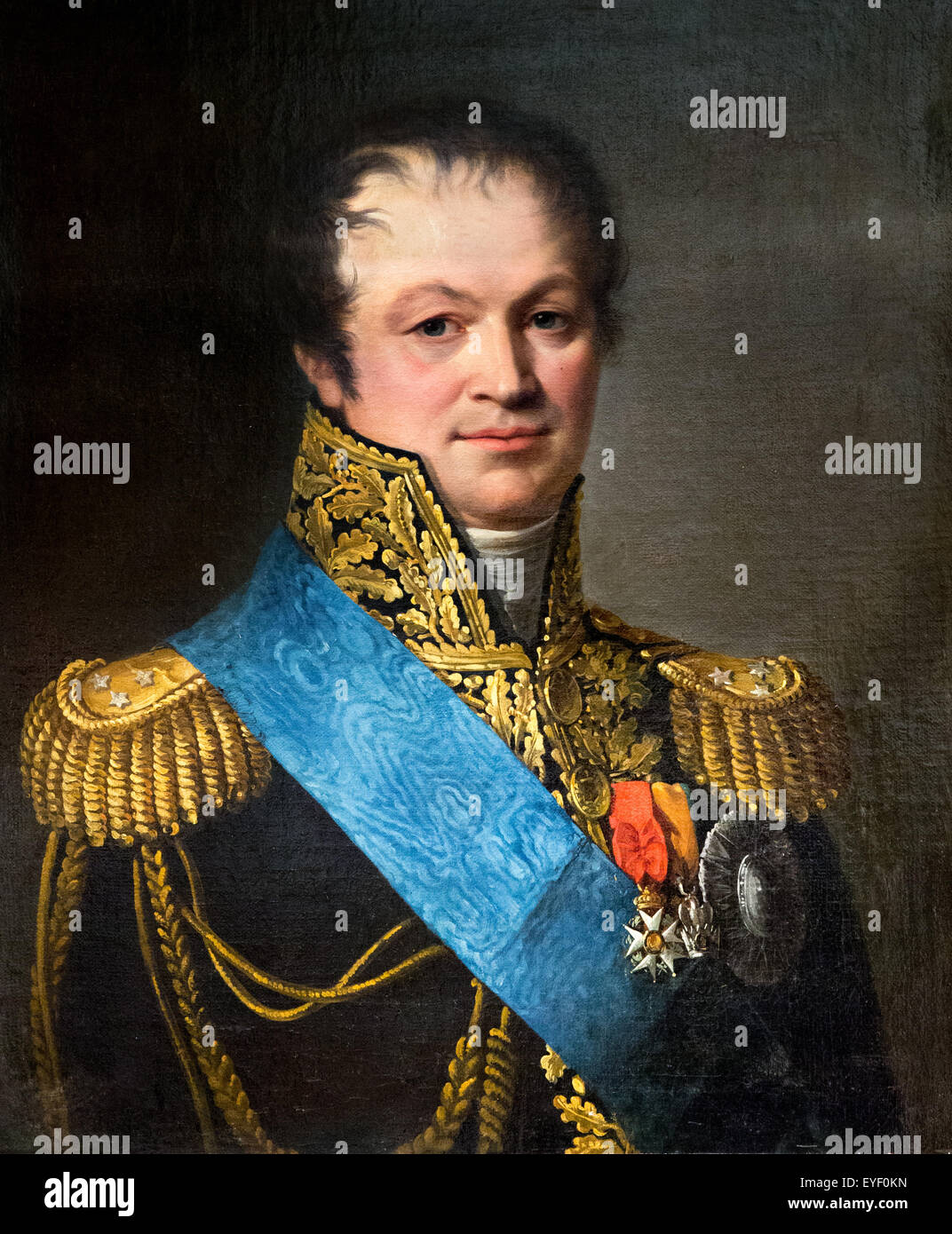 General Henri-Francois Charpentier, wearing the insignia of the Order of Reunion 07/12/2013 - 19th century Collection Stock Photo