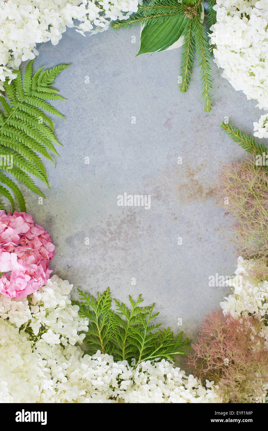 Delicate floral composition as the frame Stock Photo Alamy