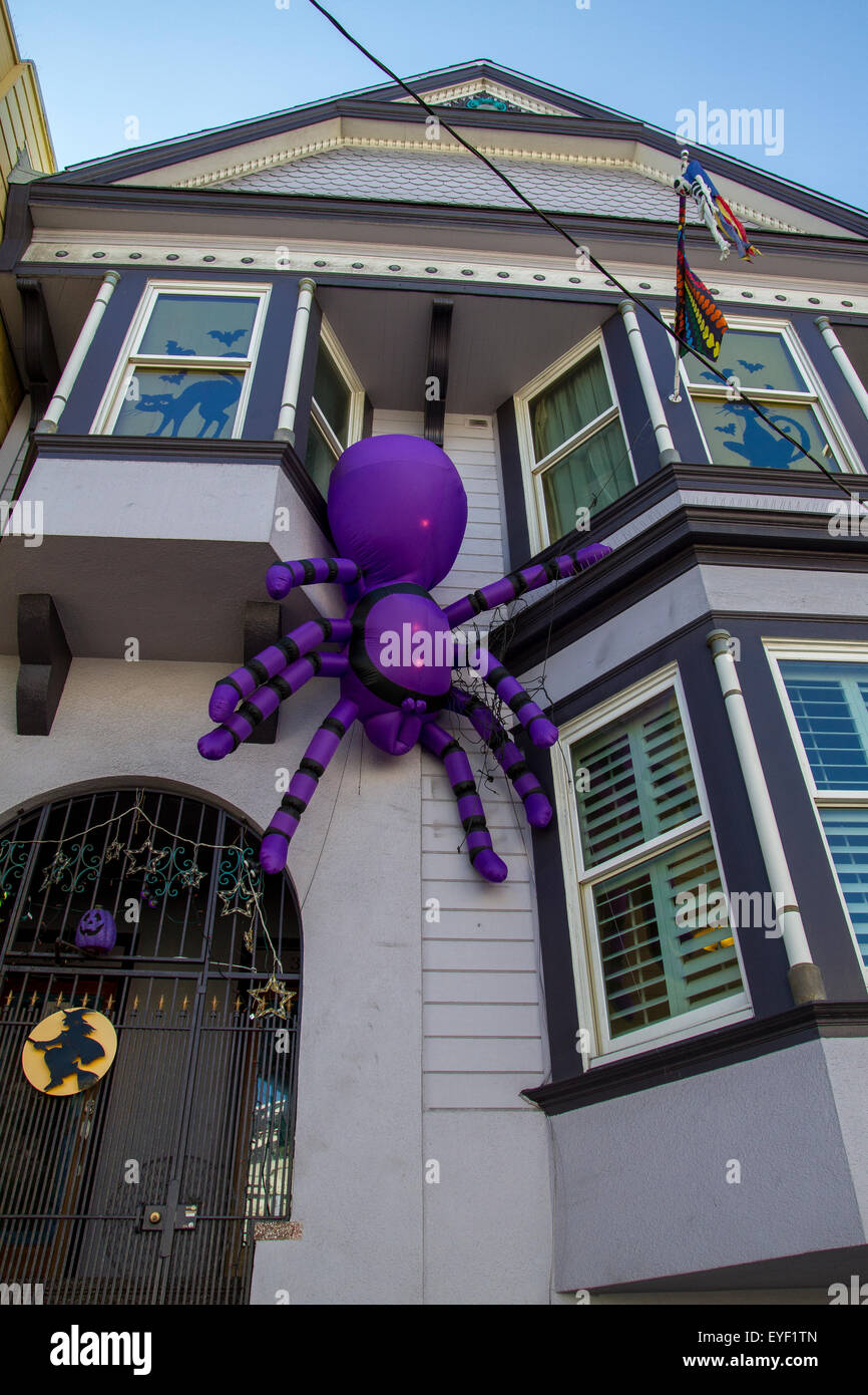 Giant House Spiders High Resolution Stock Photography and Images - Alamy