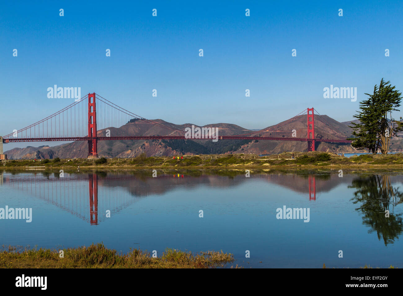 The Golden Gate Bridge reflected in the still waters of Crissy Field Marsh San Francisco ,California Stock Photo