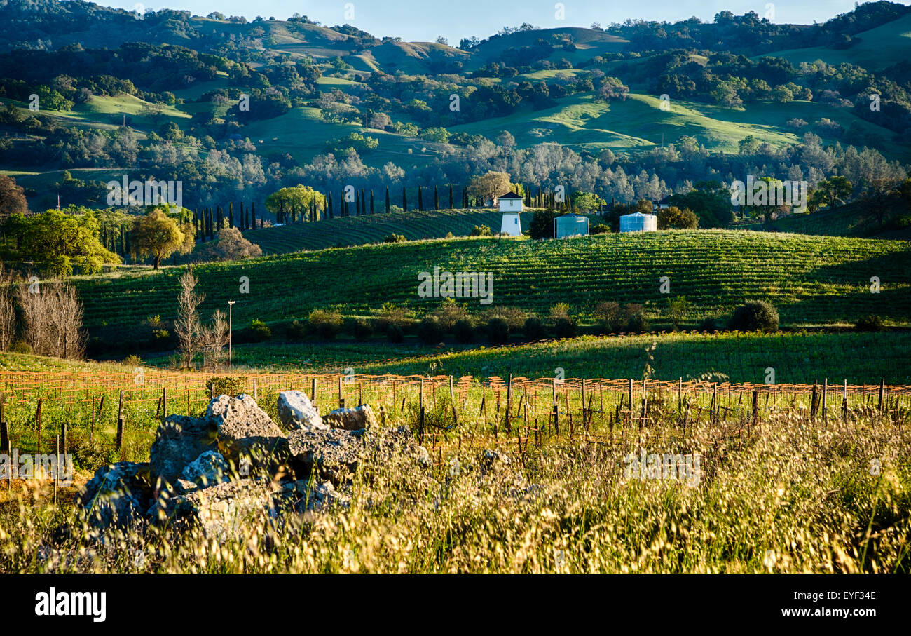 A beautiful Alexander Valley Vista in California Stock Photo Alamy
