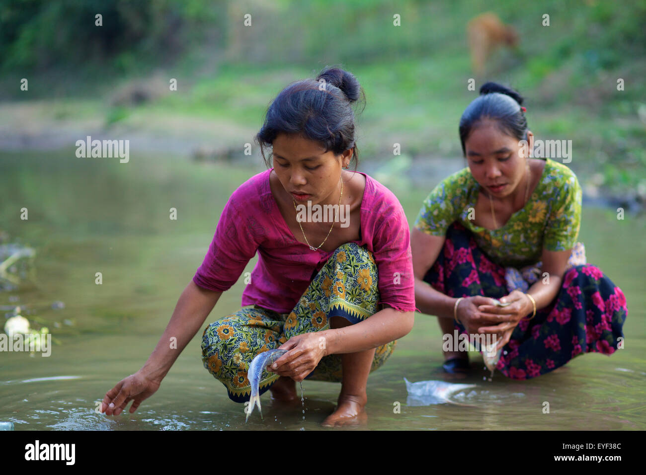 Chakma women cleaning fish; Khagrachari, Chittagong Division, Bangladesh Stock Photo