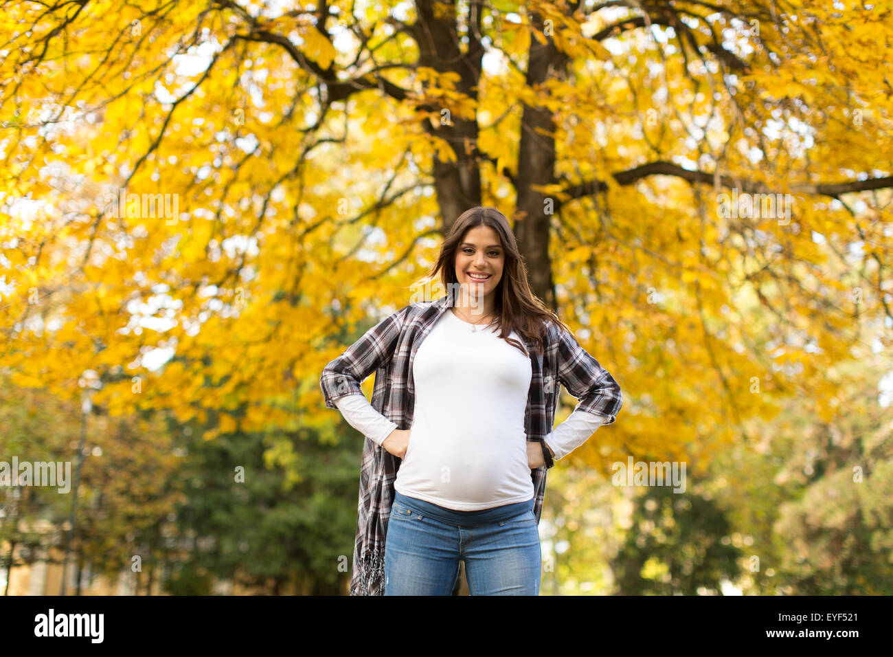 Young pregnant woman in the autumn park Stock Photo - Alamy