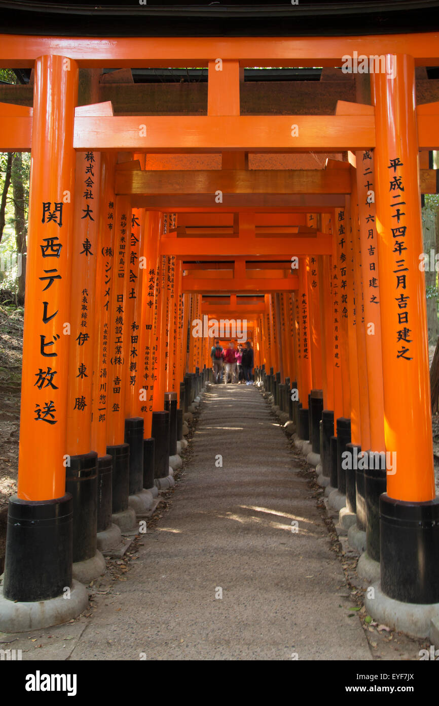 Many tori gates at Fushimi Inari; Kyoto, Japan Stock Photo