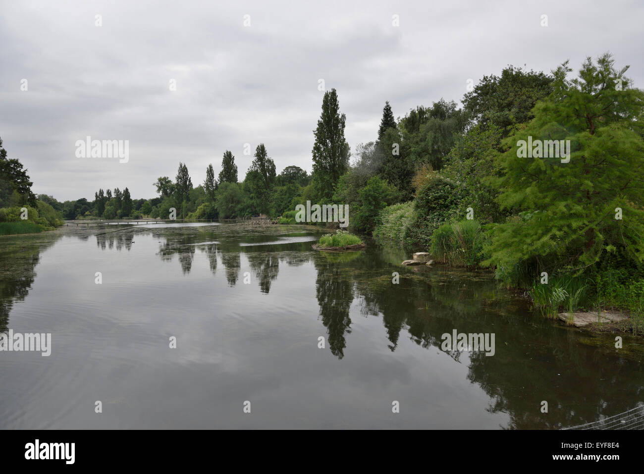 Hyde Park, London England, looking it's best with wild birds and animals Stock Photo